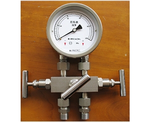 差壓表帶三閥組